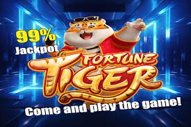 fattbet ဘင်ဂို Online Bingo Myanmar ကစားသမားများ MMK ဆုငွေ